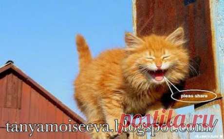 Татьяна Моисеева – Google+  Зарабатываем в интернете!