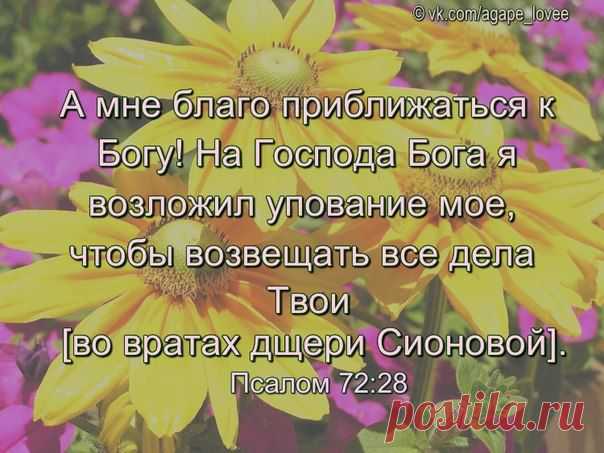 ♥...Агапэ...♥