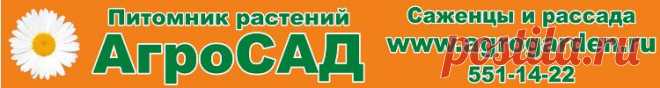 Стимулятор роста "Гумат+7". Инструкция.