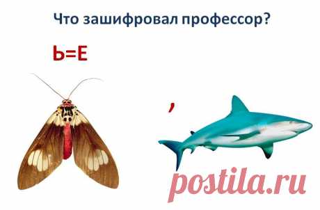 РЕБУСЫ — Шоу сумасшедшего профессора Николя