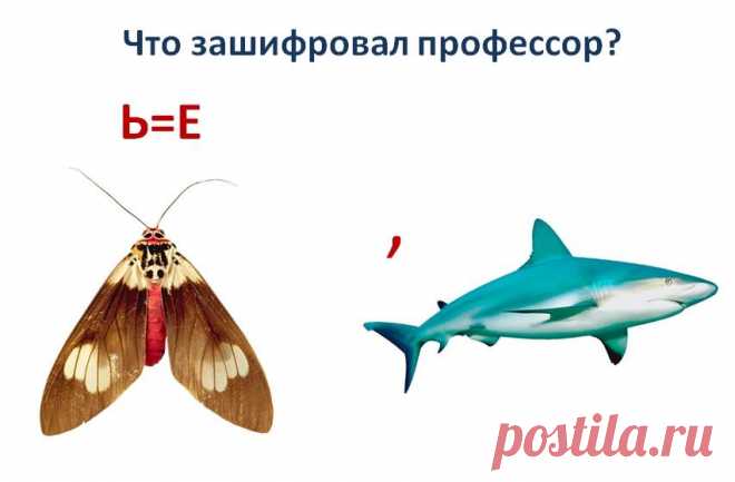 РЕБУСЫ — Шоу сумасшедшего профессора Николя