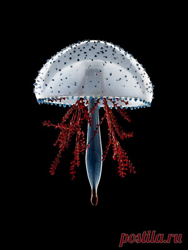 Стеклянные фигуры подводных обитателей