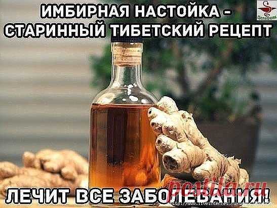 Имбирная настойка - старинный тибетский рецепт