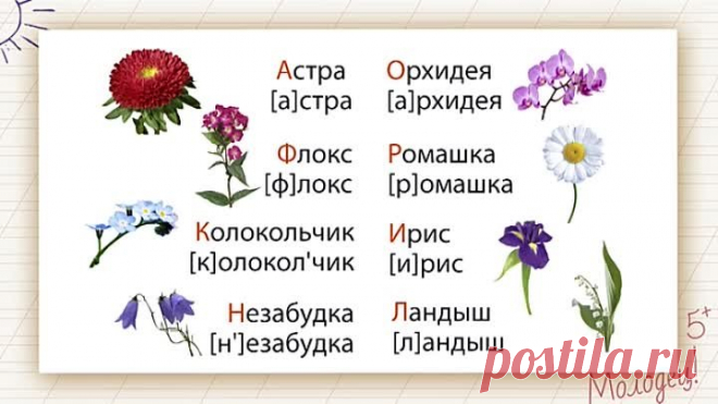 1 кл. Гласные и согласные звуки. Обозначение их буквами на письме.