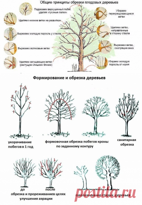 Вам сообщение!