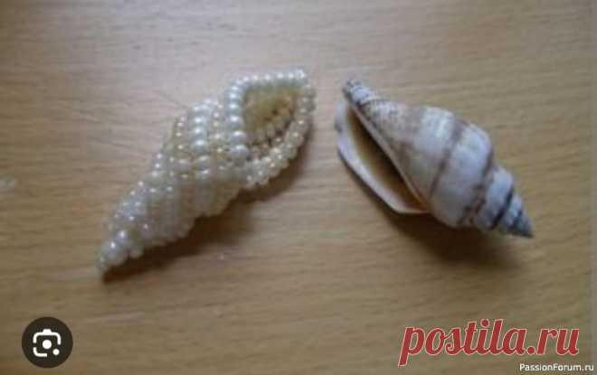 Ракушка из бисера. Схема | Украшения из бисера: схемы, мастер классы