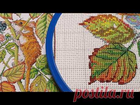 239#Вышивальные будни/Новый процесс/Что делать с подушкой?/Опять зима?/ Гаврик кусается