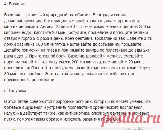 5 НАТУРАЛЬНЫХ АНТИБИОТИКОВ