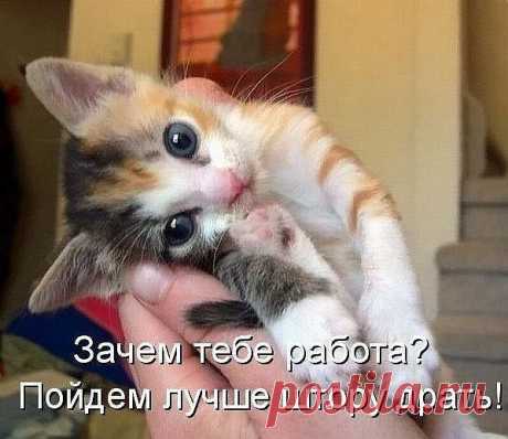 Мой Мир@Mail.Ru