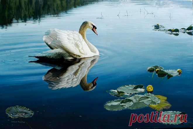 =П Е Й З А Ж И. ФАУНА= | Записи в рубрике =П Е Й З А Ж И. ФАУНА= | Дневник ЕЖИЧКА (Лилия)