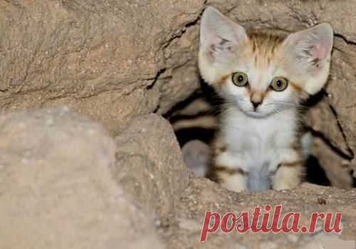 Редкие кадры