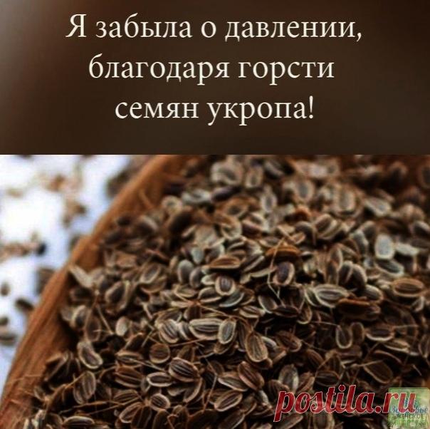 СВОЙСТВА СЕМЯН УКРОПА

Чтобы забыть о давлении нужно взять горсть семян укропа. Через неделю будете здоровы!

Высокое давление придет в норму, исчезнут запоры, боли в желудке и мочевом пузыре, пройдет недержание мочи и кала, если в заварочный чайник насыпать столовую ложку с горкой семян укропа и залить их пол-литрами кипятка.

Накрыть чайничек салфеткой или укутать полотенцем на 40 минут, чтобы семена хорошо запарились и отдали все ценные вещества в воду.
Полученное лекар...