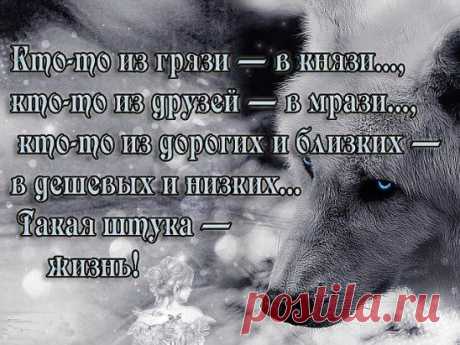 (12) Одноклассники