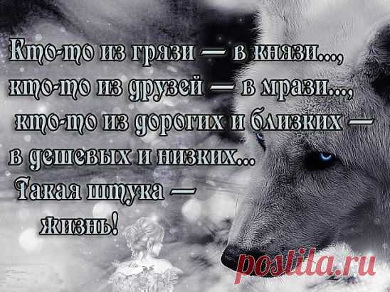 (12) Одноклассники