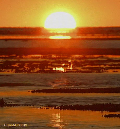 h-258.jpg (500×536)