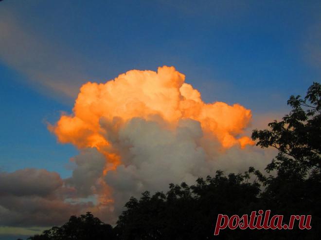 ФОТОМАСТЕРСКАЯ ПРИРОДЫ
Светлана Путрина