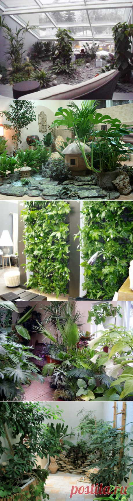 Девять дач » Зимний сад в квартире (44 фото): выбор места, стиля и растений
