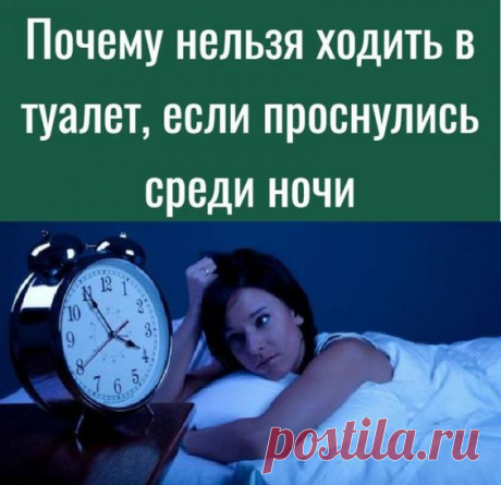 Советы
; Открывает новую вкладку
Почему нельзя ходить в туалет, если проснулись среди ночи декоративные подушки