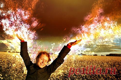 12 природных законов, или как сохранить жизненную энергию &#8212; Планета и человек