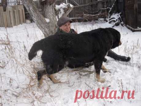 (49) Одноклассники