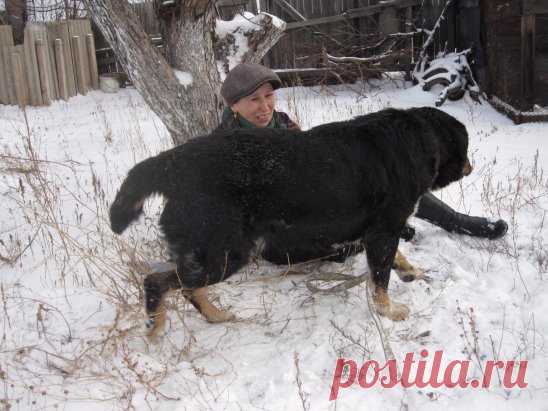 (49) Одноклассники
