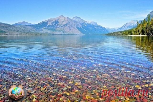 Разноцветная галька на берегу озера МакДональд, Монтана, США.