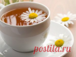 Все про ромашковый чай и его свойства | Великий чайный путь