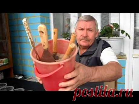 Храню домашний огородный инструмент в ведерке с песком