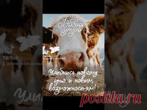 Позитивчик. ДОБРОЕ УТРО!... #позитивчикдоброеутро