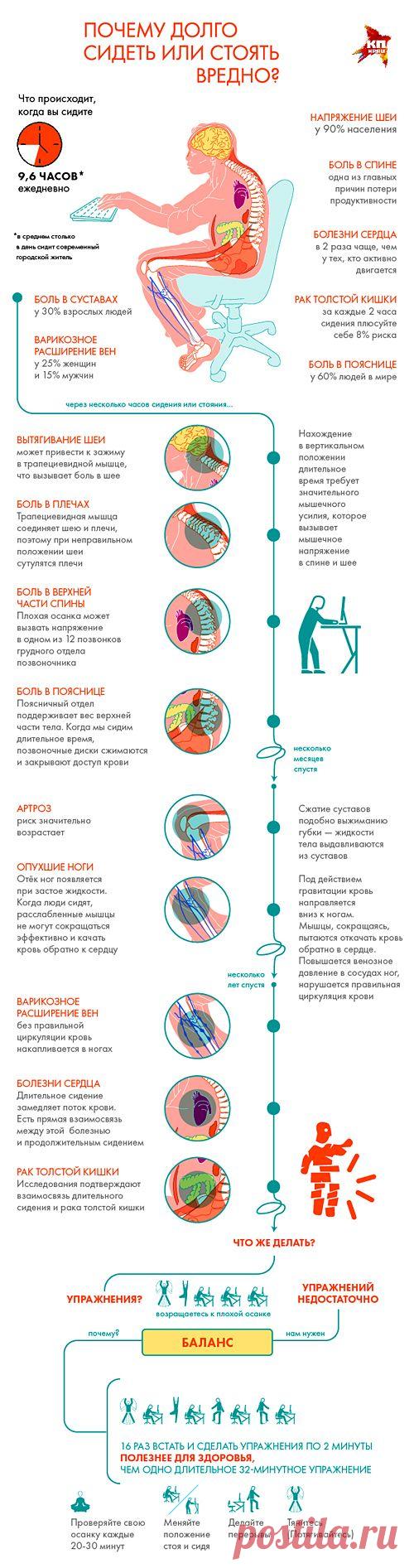 Почему долго сидеть или стоять вредно? | Golbis