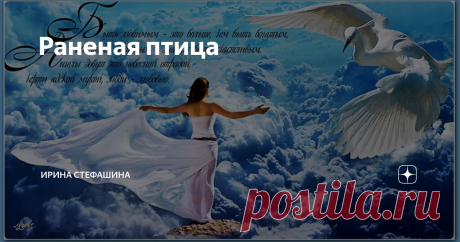 Раненая птица