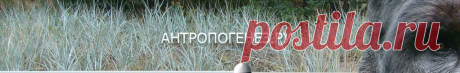 Заря Homo: древнейшие свидетельства - Антропогенез.РУ