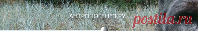 Заря Homo: древнейшие свидетельства - Антропогенез.РУ