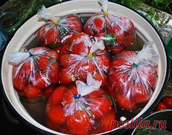 Помидоры в пакетах | Четыре вкуса