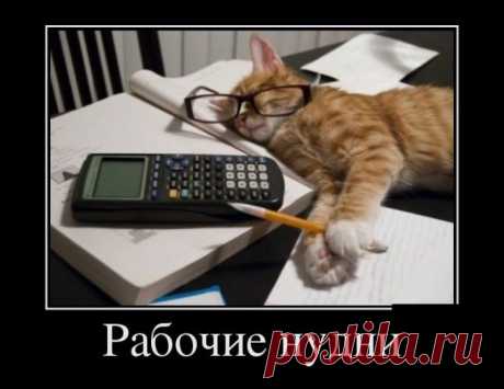 Демотиваторы и веселье! / Приколы