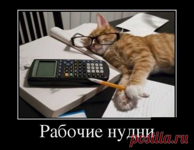 Демотиваторы и веселье! / Приколы