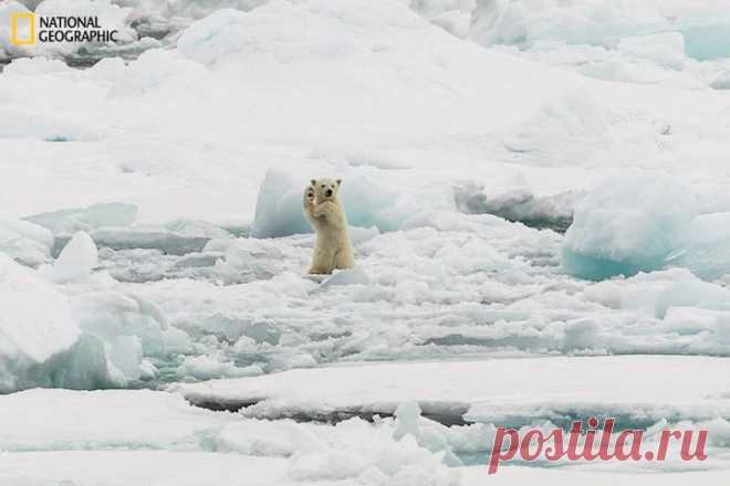 37 самых потрясающих фотографий уходящего года! | thePO.ST