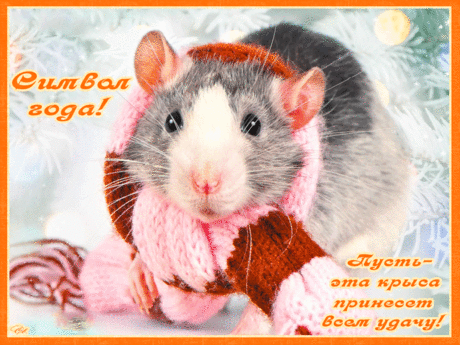 Символ года