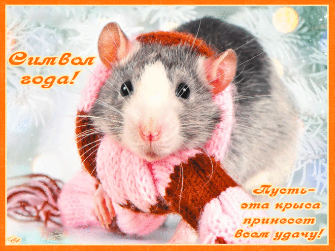 Символ года