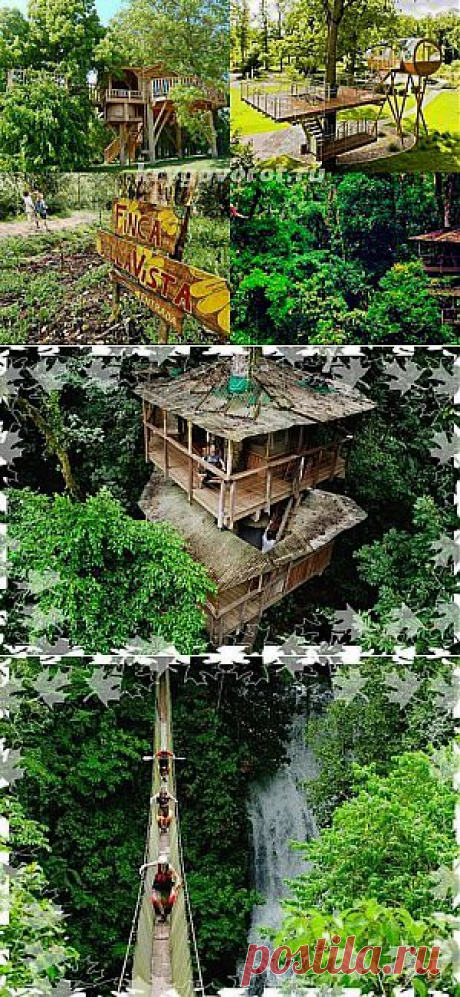 Коста-Рика – эко-курорт Finca Bellavista. Экологический курорт с домами на деревьях | Круговорот отдыха