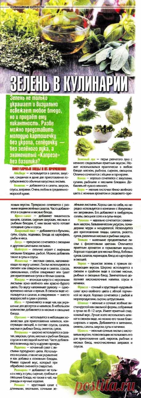 Зелень в кулинарии
