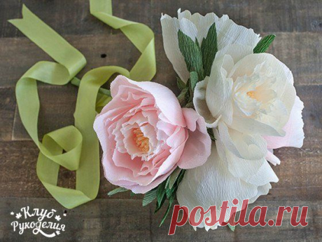 Потрясающие пионы из креповой бумаги 🌺 / Рукоделие