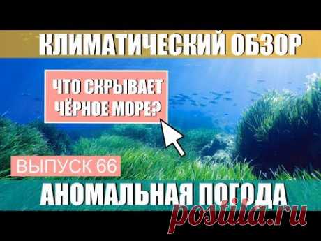 Что скрывает Чёрное море? Аномальная погода. Климатические изменения