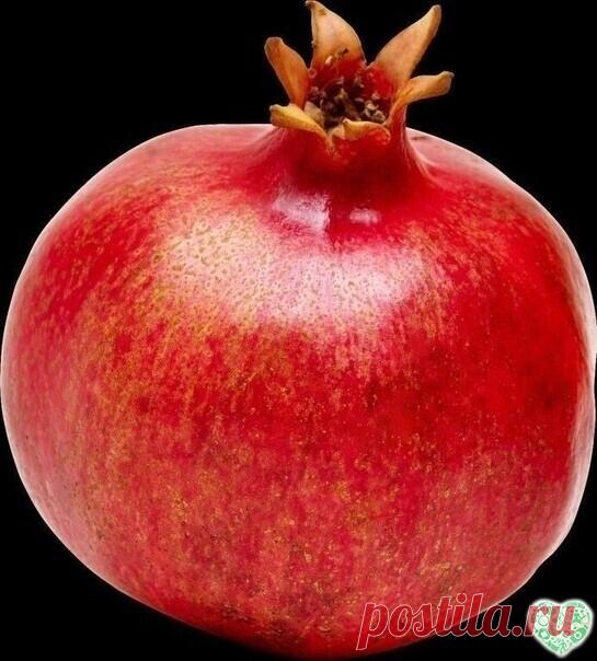 ПОЛЕЗНО ЗНАТЬ !!
10 причин есть гранат: