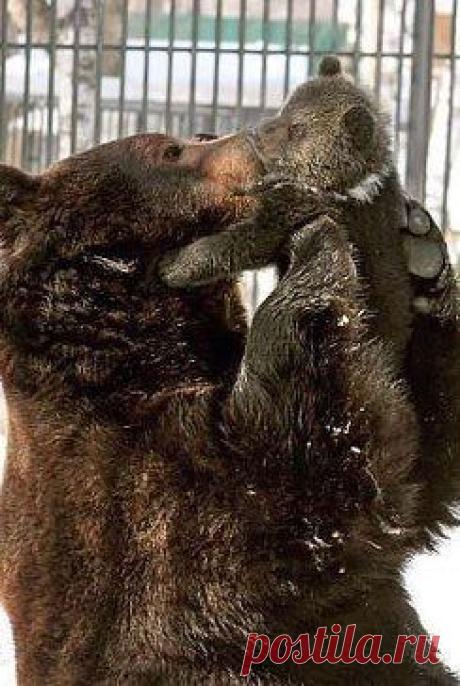 Считает классным альбом ➷♥➹ ЛЮБОВЬ ПО ВСЮДУ ➷♥➹ в группе ♥ ВСЕ О ЛЮБВИ И РОМАНТИКЕ ♥