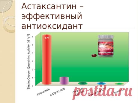 Команда bmd21 Life Style