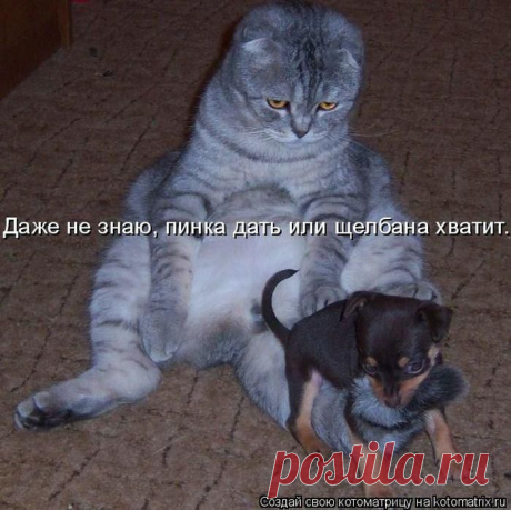 .