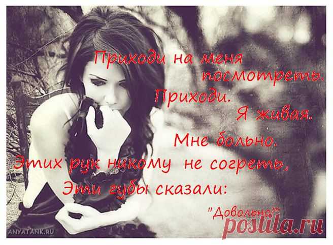 Елена Камбурова