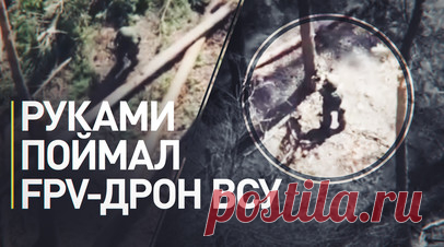 Российский боец руками поймал украинский FPV-дрон с боекомплектом. Российский боец перехватил украинский FPV-дрон в воздухе голыми руками. Всё произошло на Харьковском направлении. БПЛА нёс боезаряд. Военнослужащий разбил вражеский беспилотник о дерево, чтобы не жужжал. Товарищам он признался: «Понимаю, да, я мог погибнуть, но лучше я один, чем этот дрон убил бы сразу нескольких наших парней». Читать далее