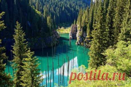 Озеро Каинды.
https://www.kp74.ru/kolsay.html